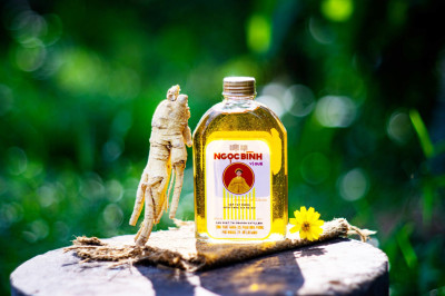 Ngọc Bình - Ginseng